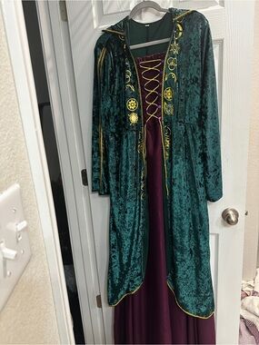Hocus Pocus Winifred Sanderson Women’s costume Dress